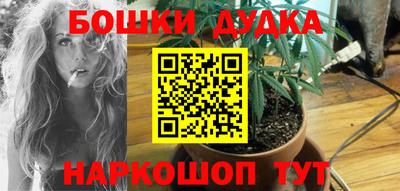 мдпв Можга