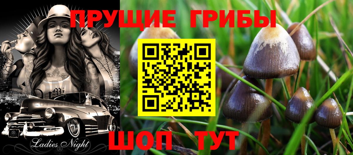 Псилоцибиновые грибы GOLDEN TEACHER Сунжа