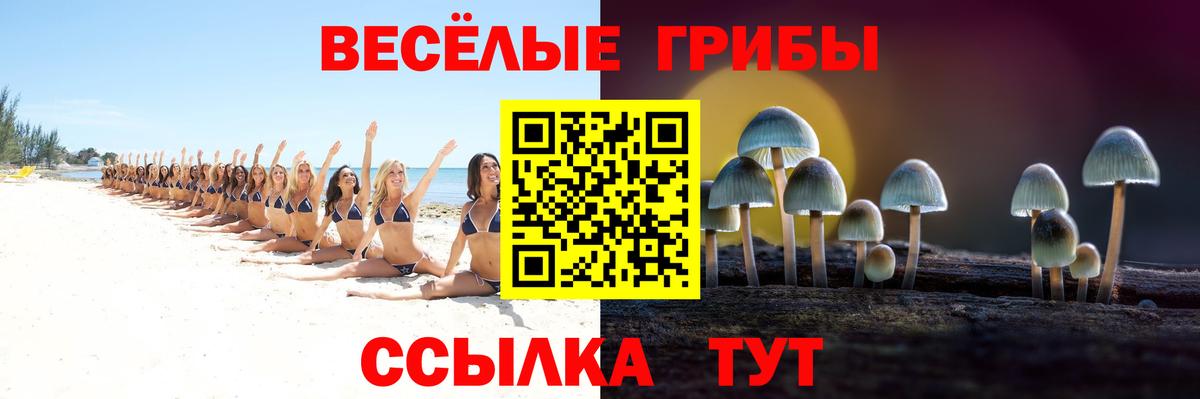 Галлюциногенные грибы GOLDEN TEACHER  купить наркотики цена  Сунжа  Вход с VPN 